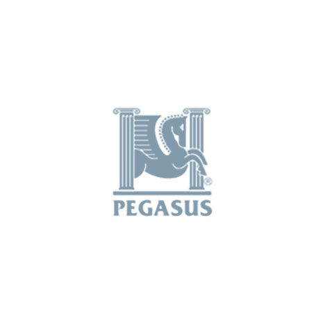 Pegasus Retirement Homes