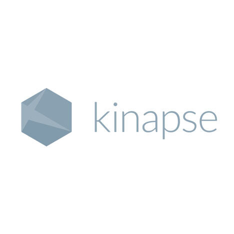 Kinapse