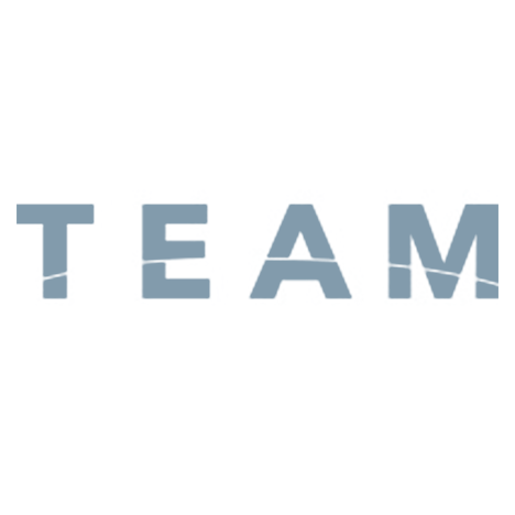TEAM Services Group